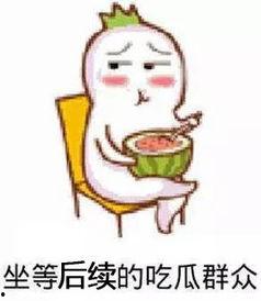 小肥篮不准吃瓜原视频,一场关于自律与挑战的较量