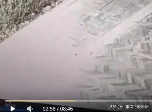 老街完整版视频吃瓜,揭秘视频背后的真实吃瓜故事