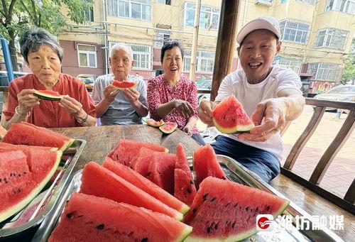 潍坊高密吃瓜事件视频,一场引发热议的网络奇观