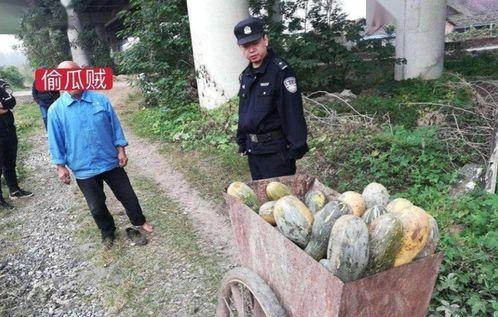 酉阳吃瓜事件真相视频播放,揭秘真相背后的惊人内幕