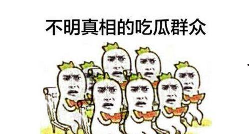 崇明吃瓜群众是谁啊视频,一场视频引发的社区热议