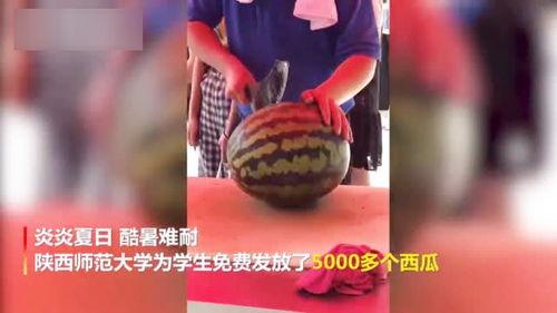 大学吃瓜事件视频,揭秘校园内幕的瞬间