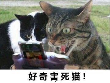 带你吃瓜搞笑动物视频下载,笑料横生！带你一睹搞笑动物视频下载风采