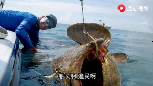 中国吃瓜船捡鱼视频,网友直呼“大自然的馈赠！”