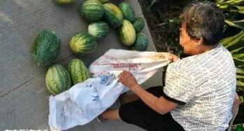 介休吃瓜最新视频,揭秘最新视频背后的热点事件