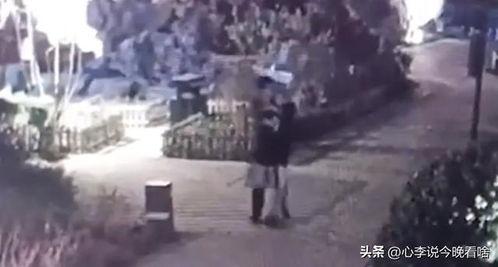 顶楼吃瓜视频,揭秘娱乐圈背后的秘密与八卦