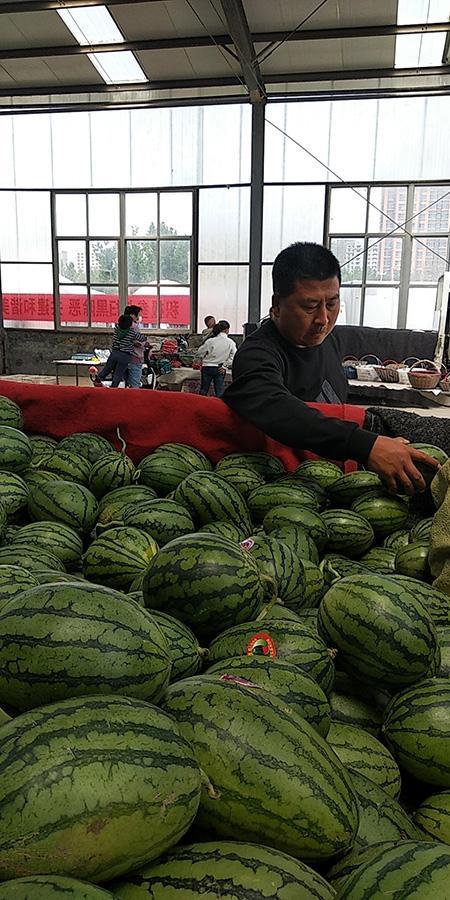 呱唧吃瓜视频,揭秘娱乐圈幕后故事
