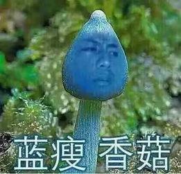 爆红吃瓜视频,揭秘娱乐圈幕后真相