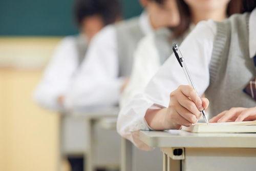吃瓜小学生事件视频,网络暴力下的校园风波