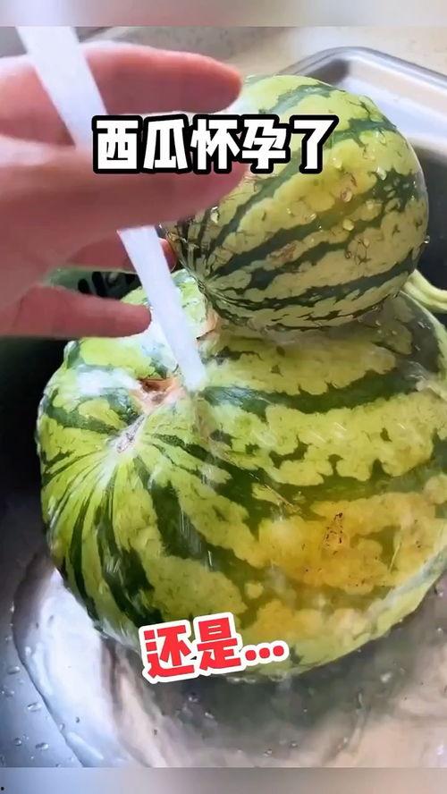 河南吃瓜搞笑视频大全,笑料横生，欢乐无限