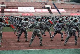 西北民大军训跳舞视频吃瓜,民大军训视频燃爆吃瓜群众