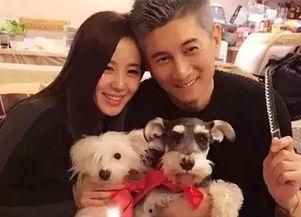 宠物大明星吃瓜视频大全,吃瓜视频大全，萌宠欢乐时光回顾