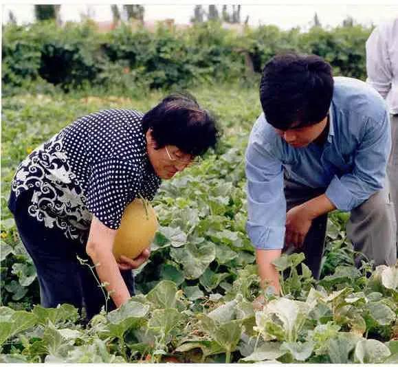 兰城院吃瓜视频,一场网络热议的幕后真相