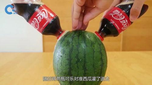 越南美女吃腌瓜视频网站,传统美味引网友热议