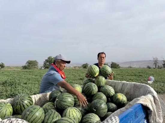 前几天最火的吃瓜视频,剧情反转，真相令人震惊！