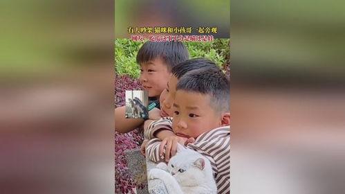 大人吵架吃瓜视频大全,吃瓜群众围观视频大盘点