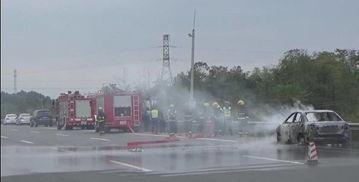 女子吃瓜被交警罚款视频,意外走红网络