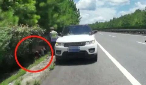 女子吃瓜被交警罚款视频,意外走红网络