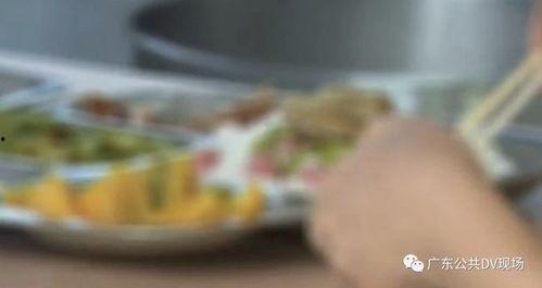 吃瓜一家四口住院视频播放,吃瓜群众见证家庭挑战时刻