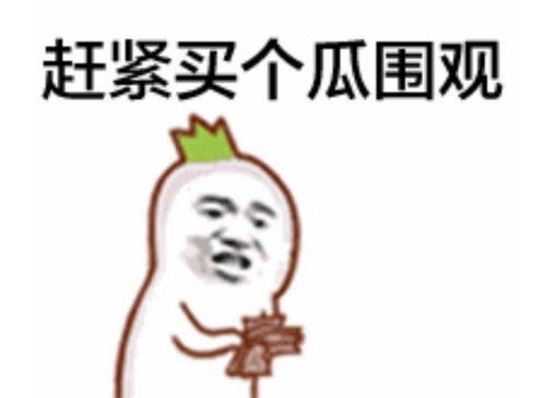 吃瓜群众樊小慧视频全集,揭秘娱乐圈幕后真相