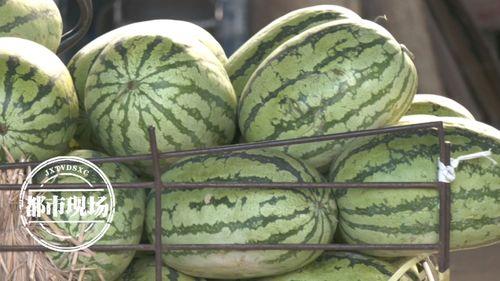 吃瓜视频的一天,揭秘一天娱乐热点