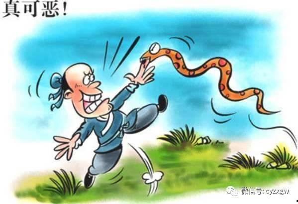 农夫与蛇吃瓜的故事视频,善恶有报的寓言故事