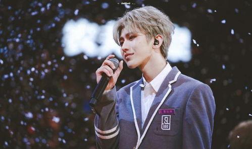 吃瓜蔡徐坤演唱会视频完整版,视听盛宴，青春记忆的璀璨瞬间