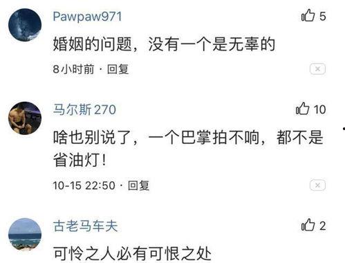 吃瓜看戏评论视频,揭秘热门视频背后的精彩幕后