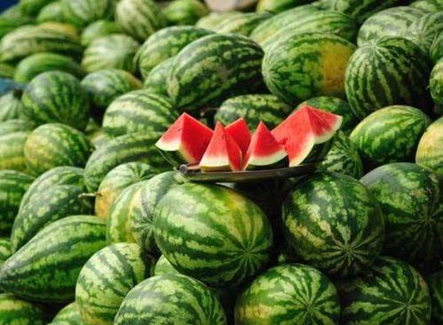 威海吃瓜网红事件真相视频,真相视频曝光背后的真相