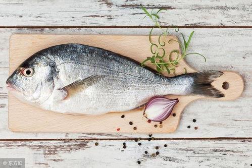 认真吃瓜的老鱼视频在线观看,揭秘热门视频背后的真相与笑料