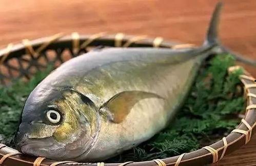 认真吃瓜的老鱼视频在线观看,揭秘热门视频背后的真相与笑料