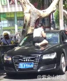 交警抓车吃瓜群众视频,围观群众现场吃瓜