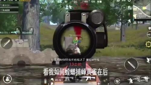 小呆瓜吃鸡解说视频全集,全程笑料横生，带你领略绝地求生魅力