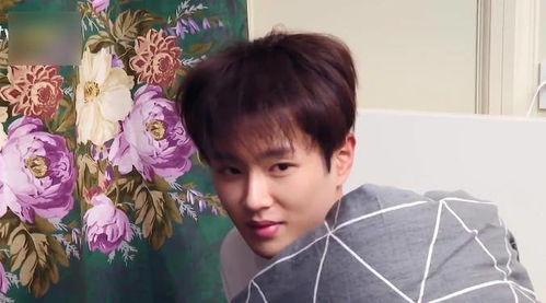 范丞丞吃大瓜视频,揭秘娱乐圈幕后真相