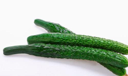 吃瓜生活小知识视频,趣味小知识视频集锦