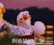 吃瓜群众丈母娘视频,揭秘家庭欢乐瞬间